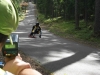 Priekuli Speedtrap